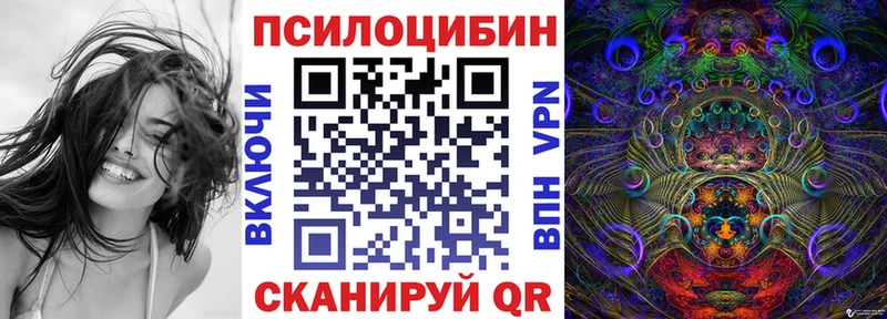 Псилоцибиновые грибы Psilocybine cubensis  Кыштым 
